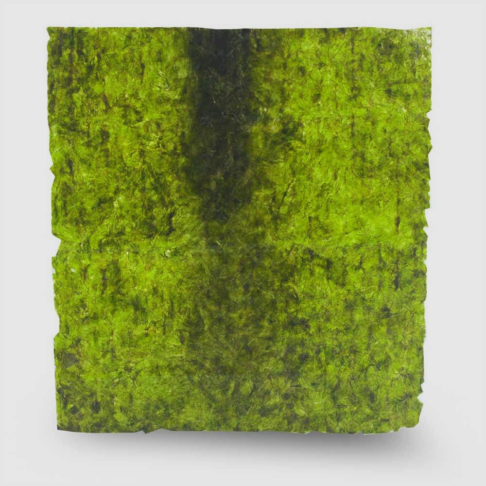 工芸品 raw life factory Cabanel SEAWEED 61-qJMsS7jL._UF350,350_QL50_.jpg